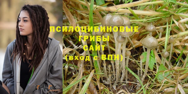 метадон Алексеевка