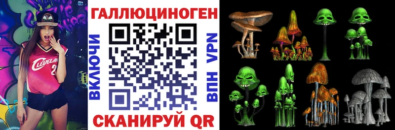 Галлюциногенные грибы Psilocybine cubensis  Трубчевск 